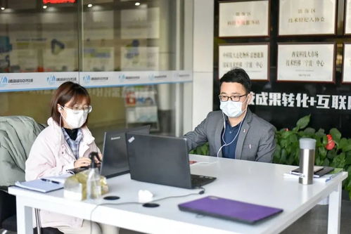 探秘鎮海打通信息之路 線上路演為科技中介插上云端羽翼